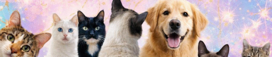 The Happy Healthy Pet Guide