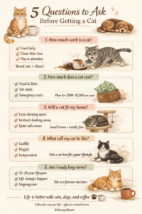 questions to ask infographic